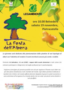 festa albero 2011