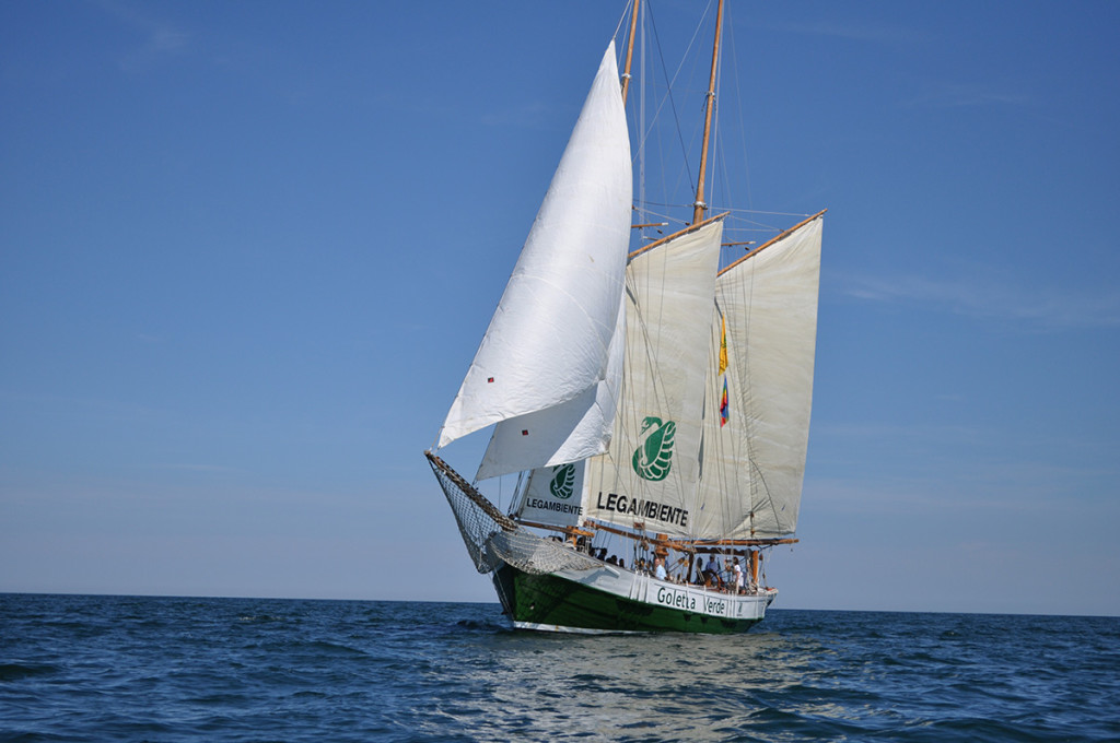 golettaverde2015